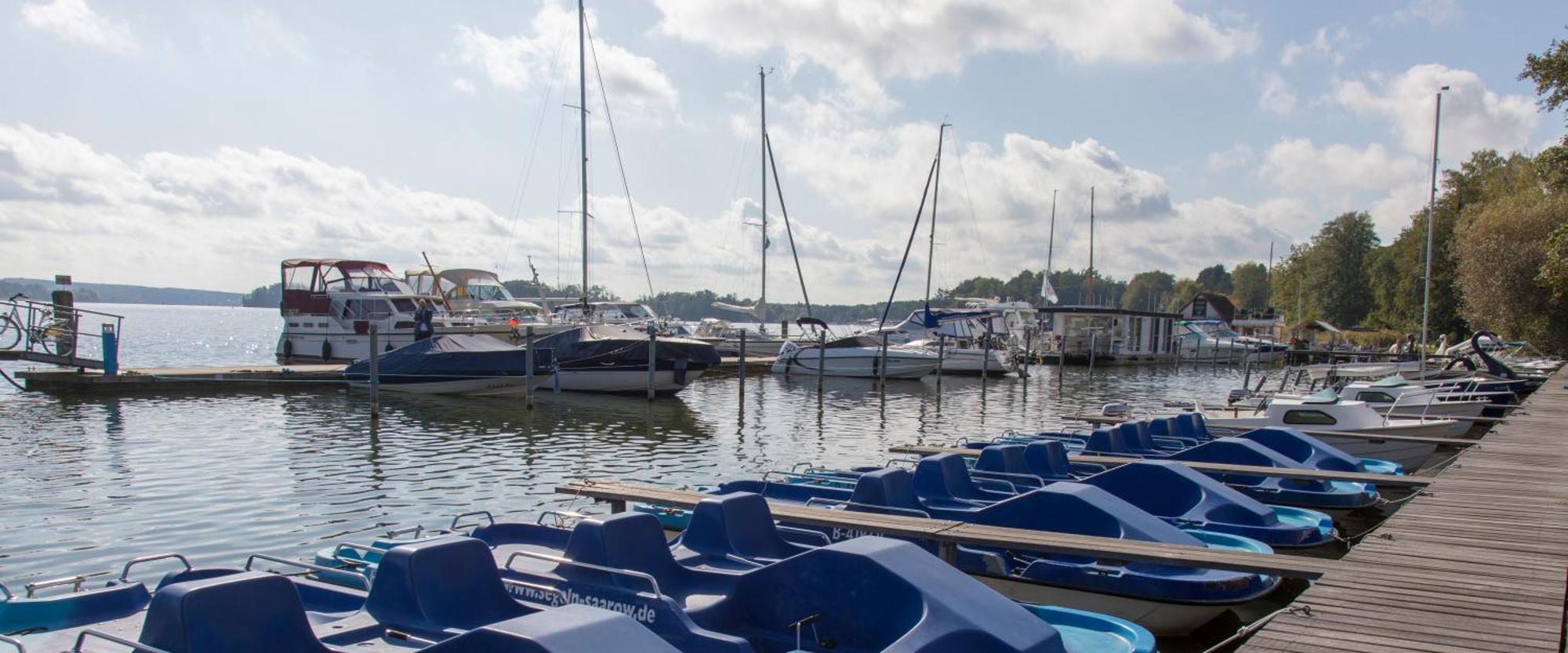 K14 Fewo - Am Kurpark - Therme Bad Saarow Kültér fotó